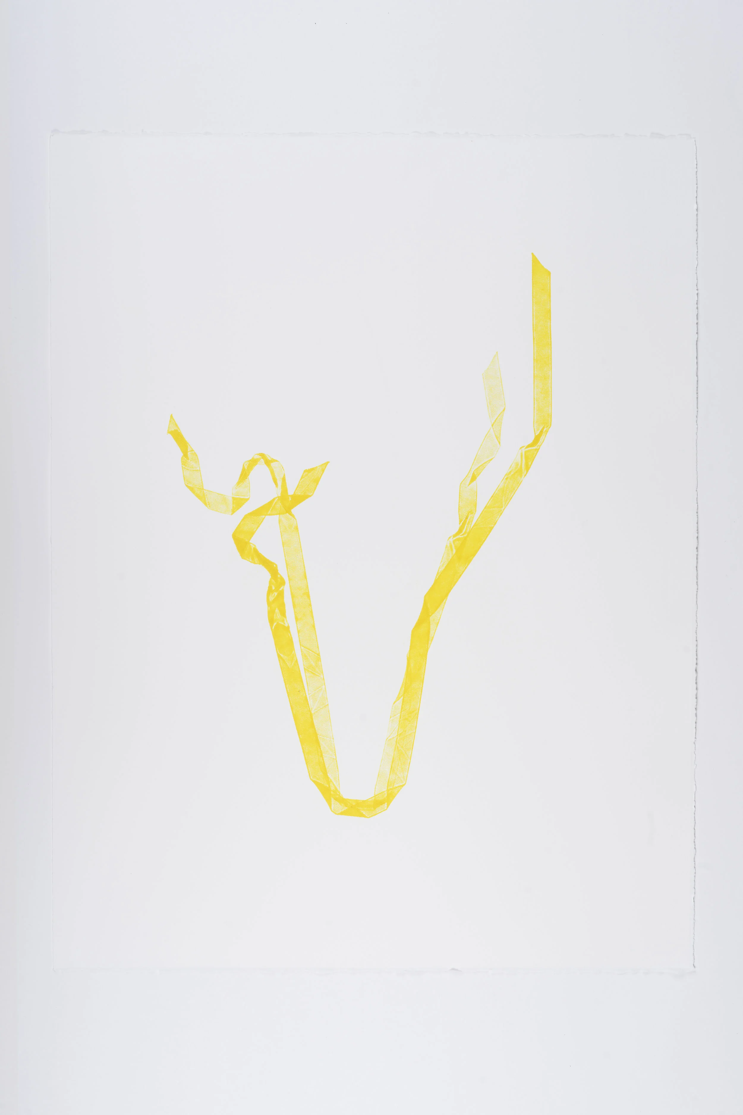 Ribbon 3