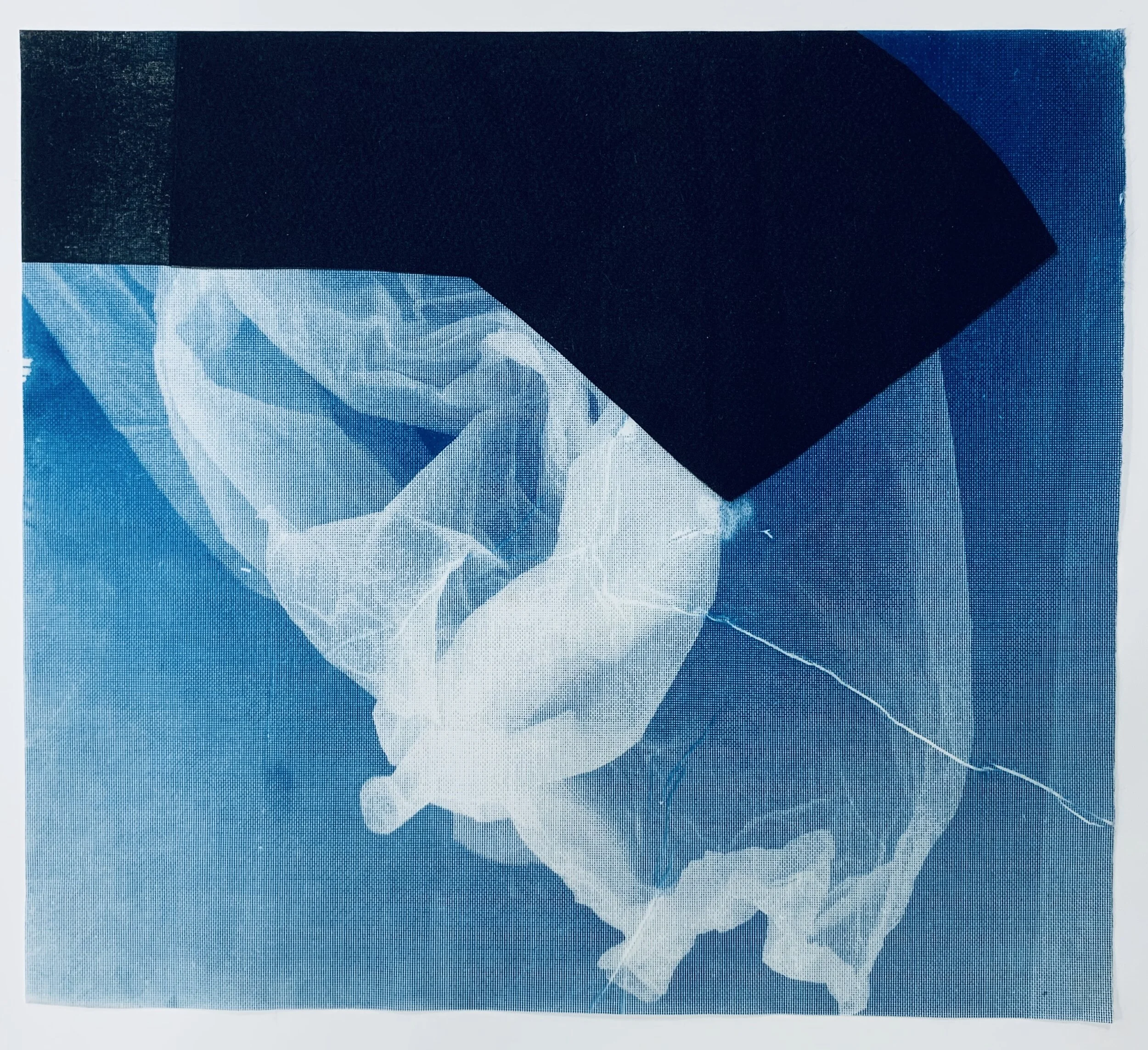 Tissue I
