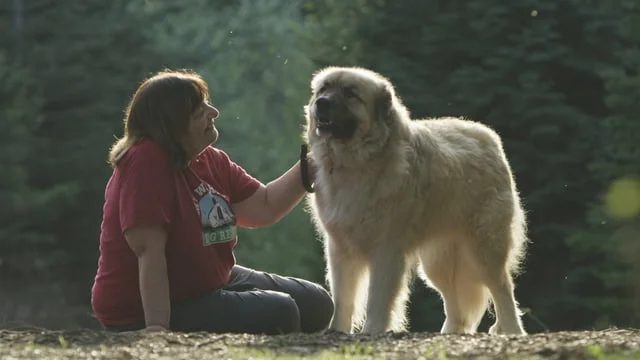 Stella and Chewys Episode 1