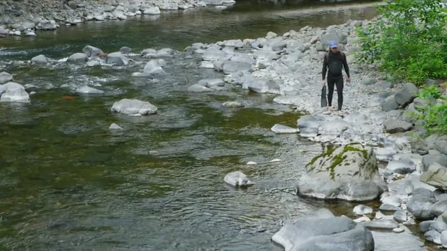 OPB's Oregon Field Guide: Drift Diving with Mike Lees