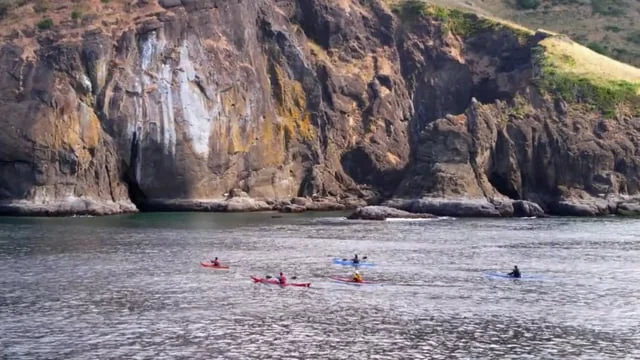 OPB Field Guide: Sea Cave Kayaking