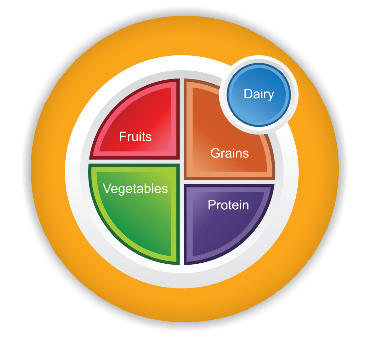 What is MyPlate? 