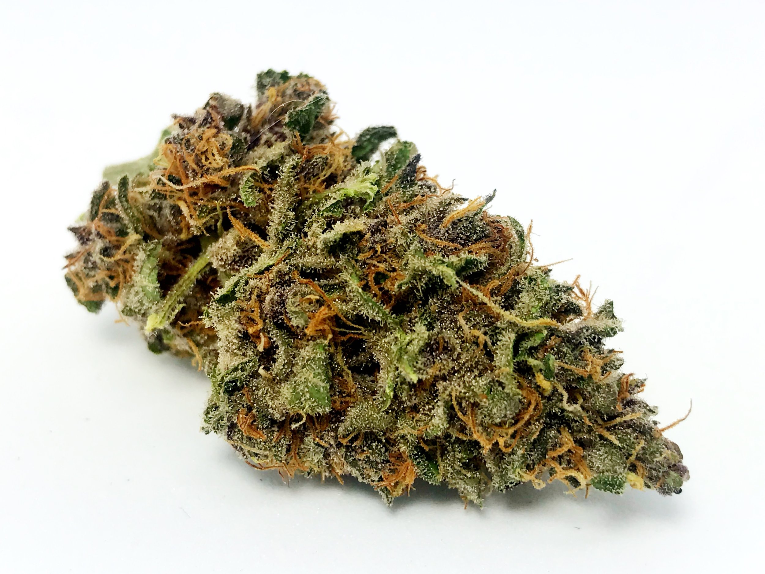 GSC Extreme - Private Reserve
