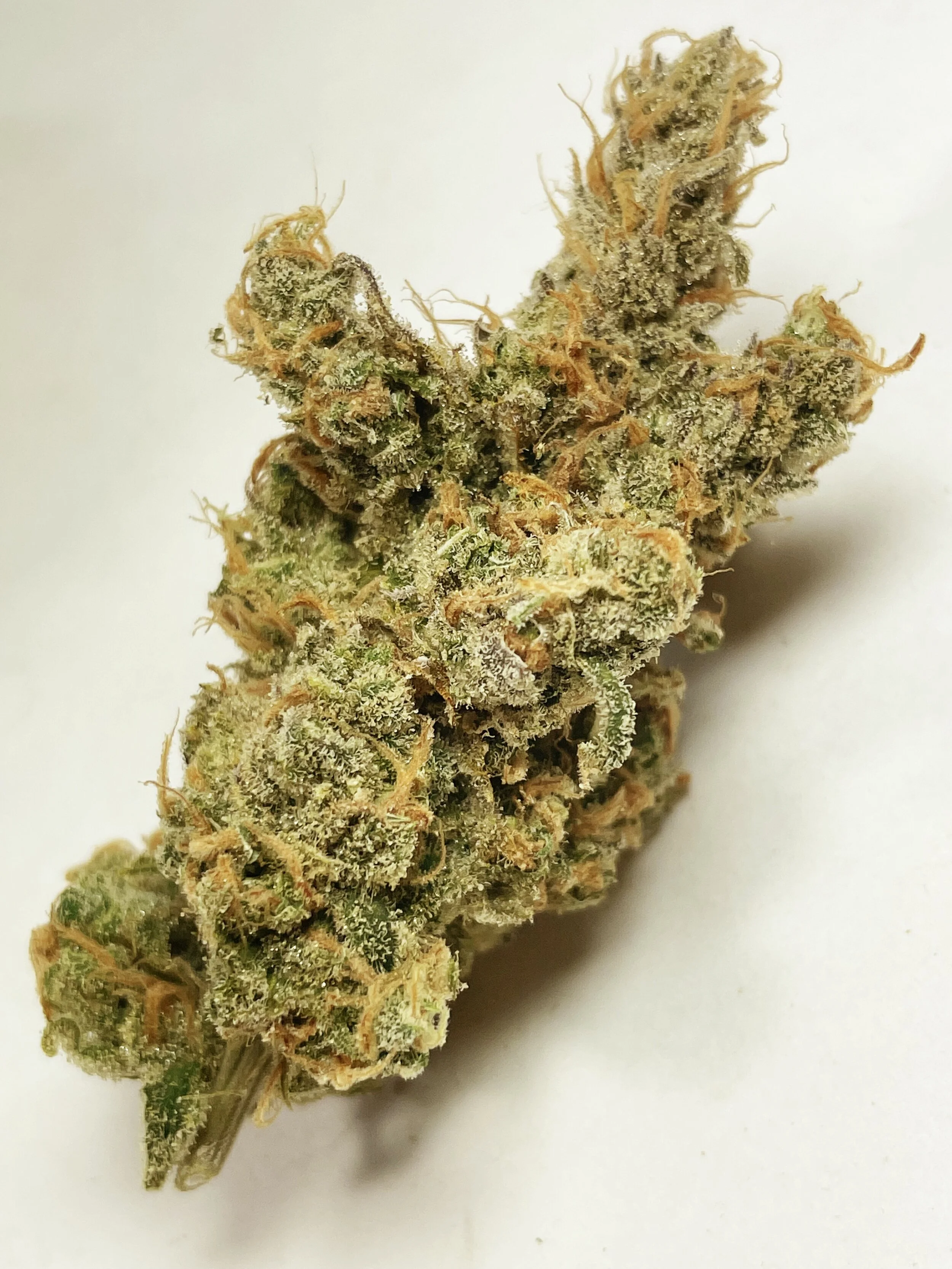 Blue Dream (Sta. Cruz Cut)
