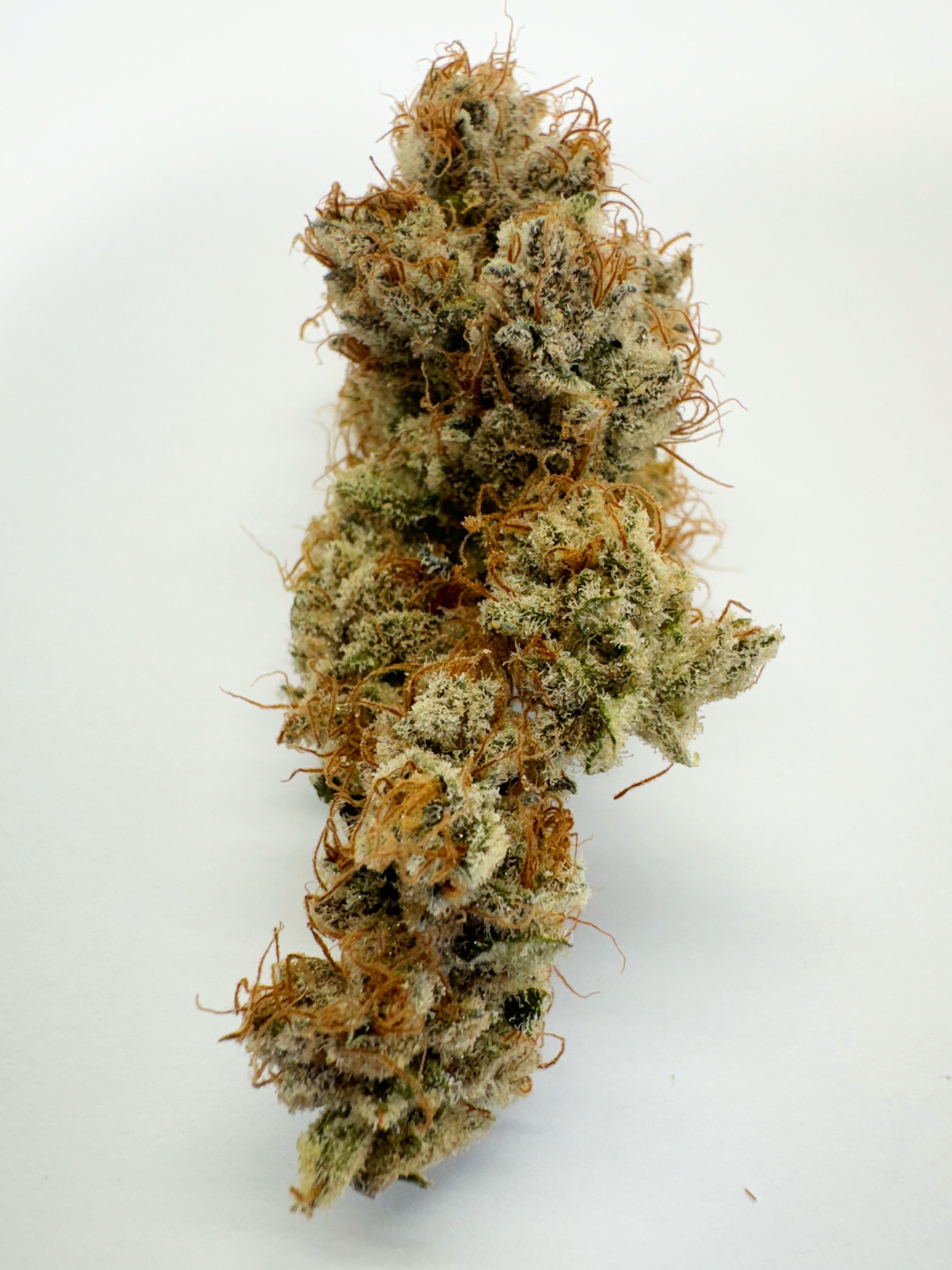 image_123650291 (8).JPG