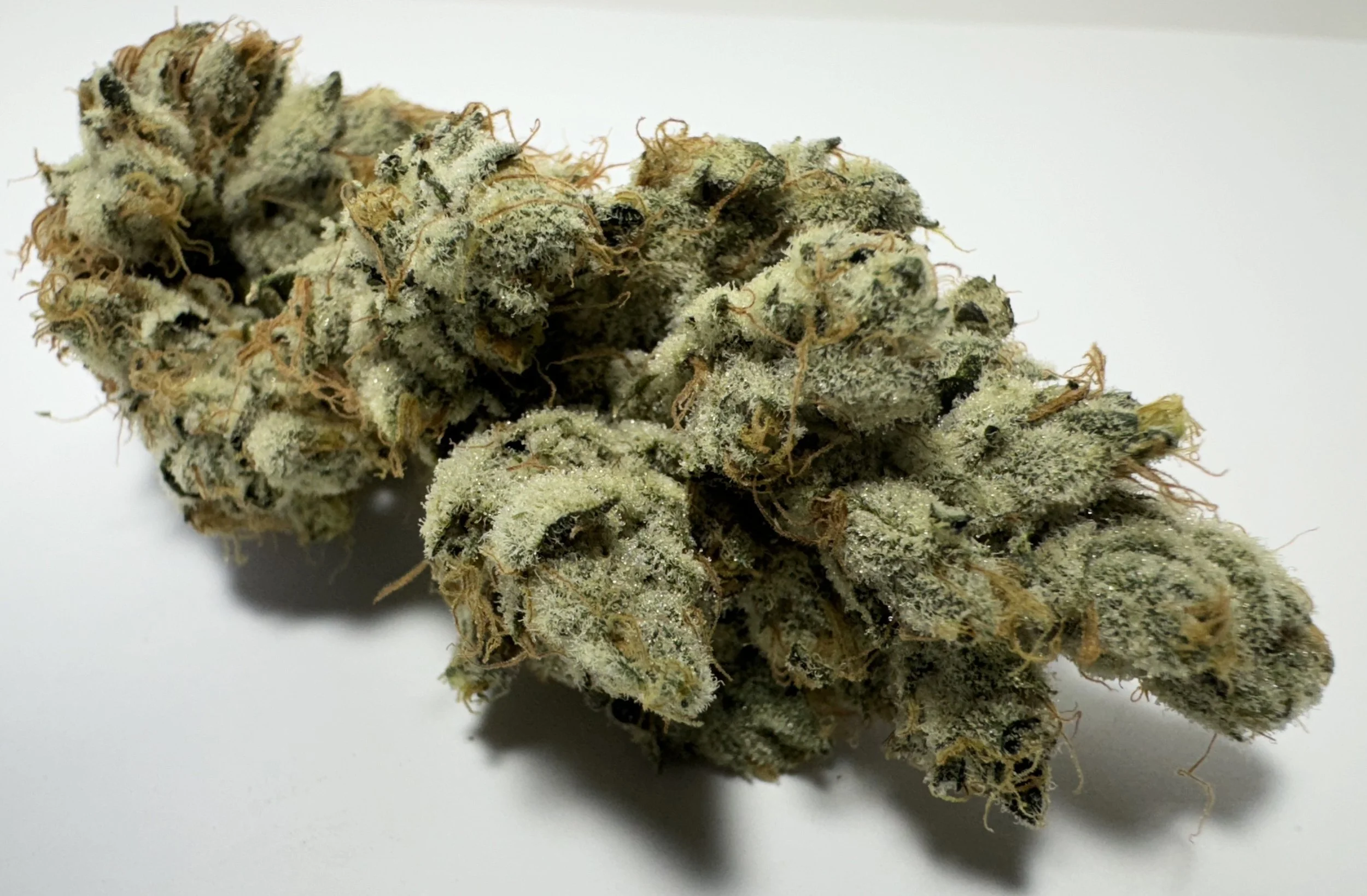 Final Call 17 10.28.JPG