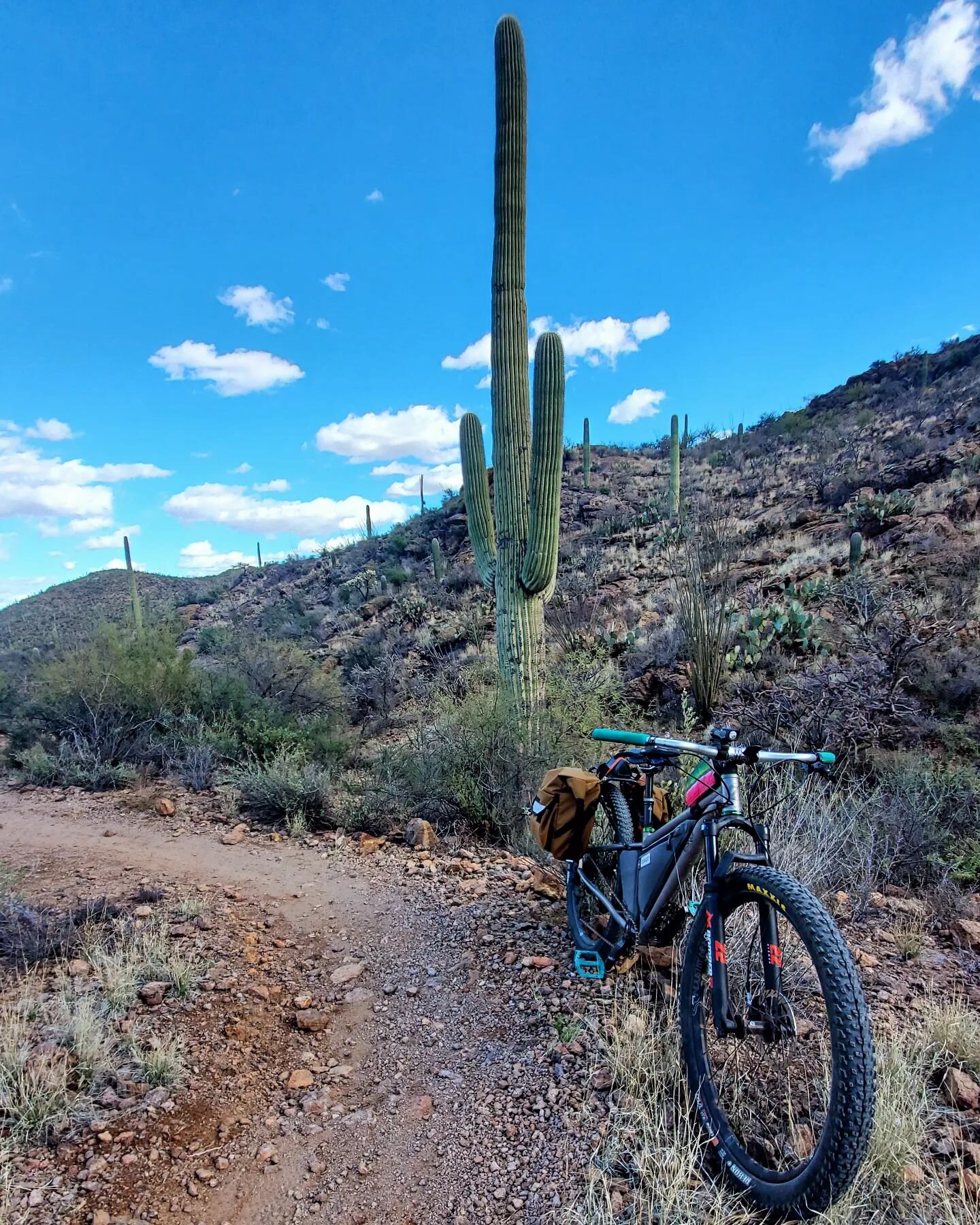 Please tell me someone got a photo of this bike with the grill on the back.

#eskercycles #eskerhaydukelvs #chillinandgrillin #ssaz2024 #supportcrew #refreshments #sustinance #cactus #mesquitegrilling #supportyourlocaldirtbag #tucsonmountains #gearsa