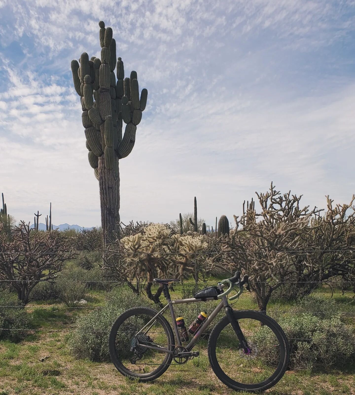 I didn't get any good pics out at @epicrides #24hoursintheoldpueblo, sorry sports fans.

I did get a pretty good snap out on my recovery ride though. Enjoy!

#rideaz #activerecovery #stretch #saguaro  #eskerinthedesert #owlshead #cactus #gravelbike #