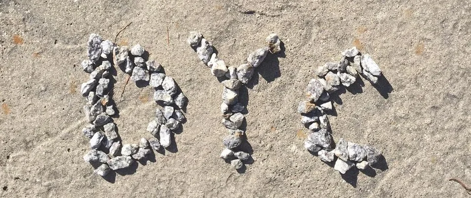 Diocesan Youth Council Application