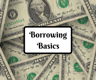 t-Borrowing Basics.png
