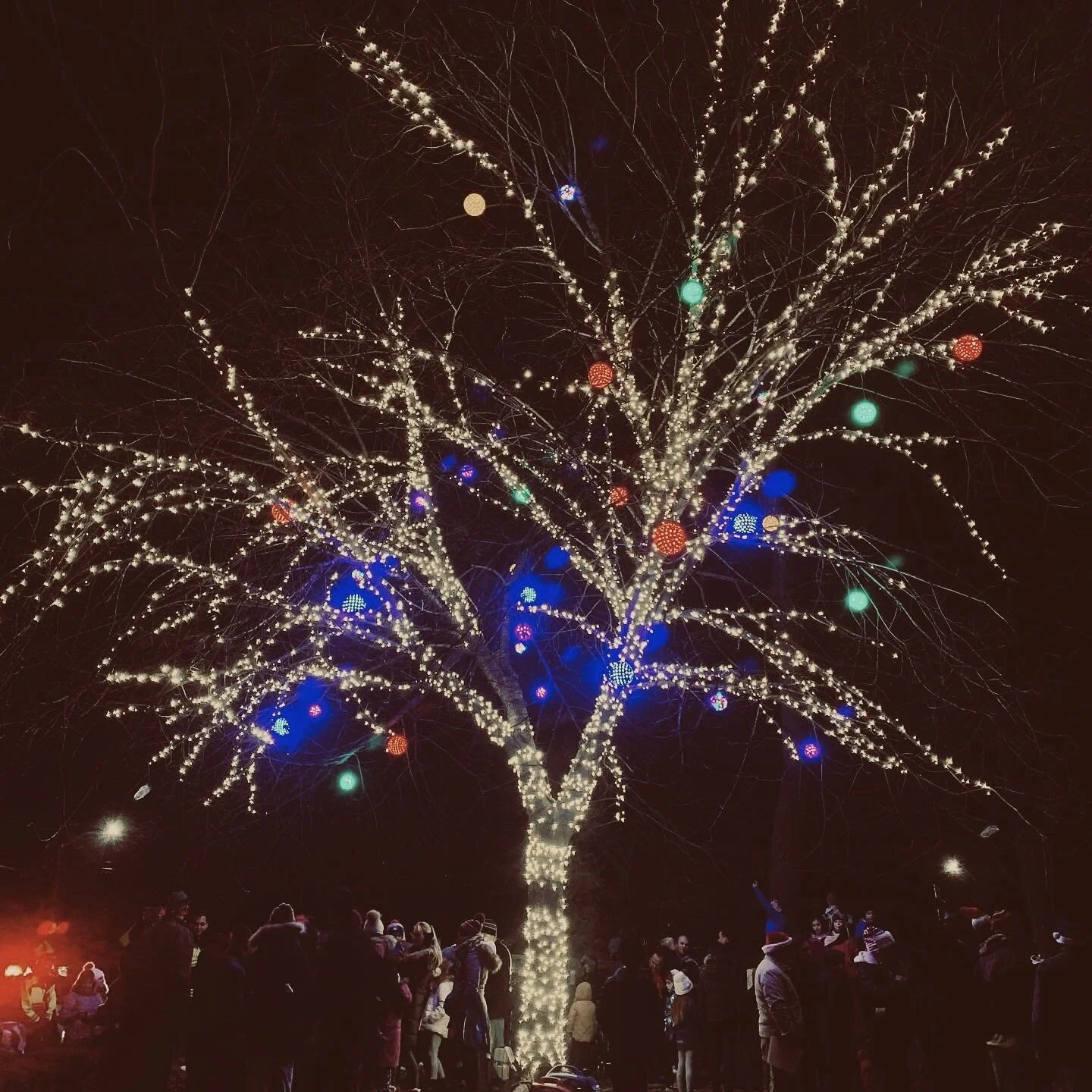 ’Tis the Season: Holiday Traditions in Rye 