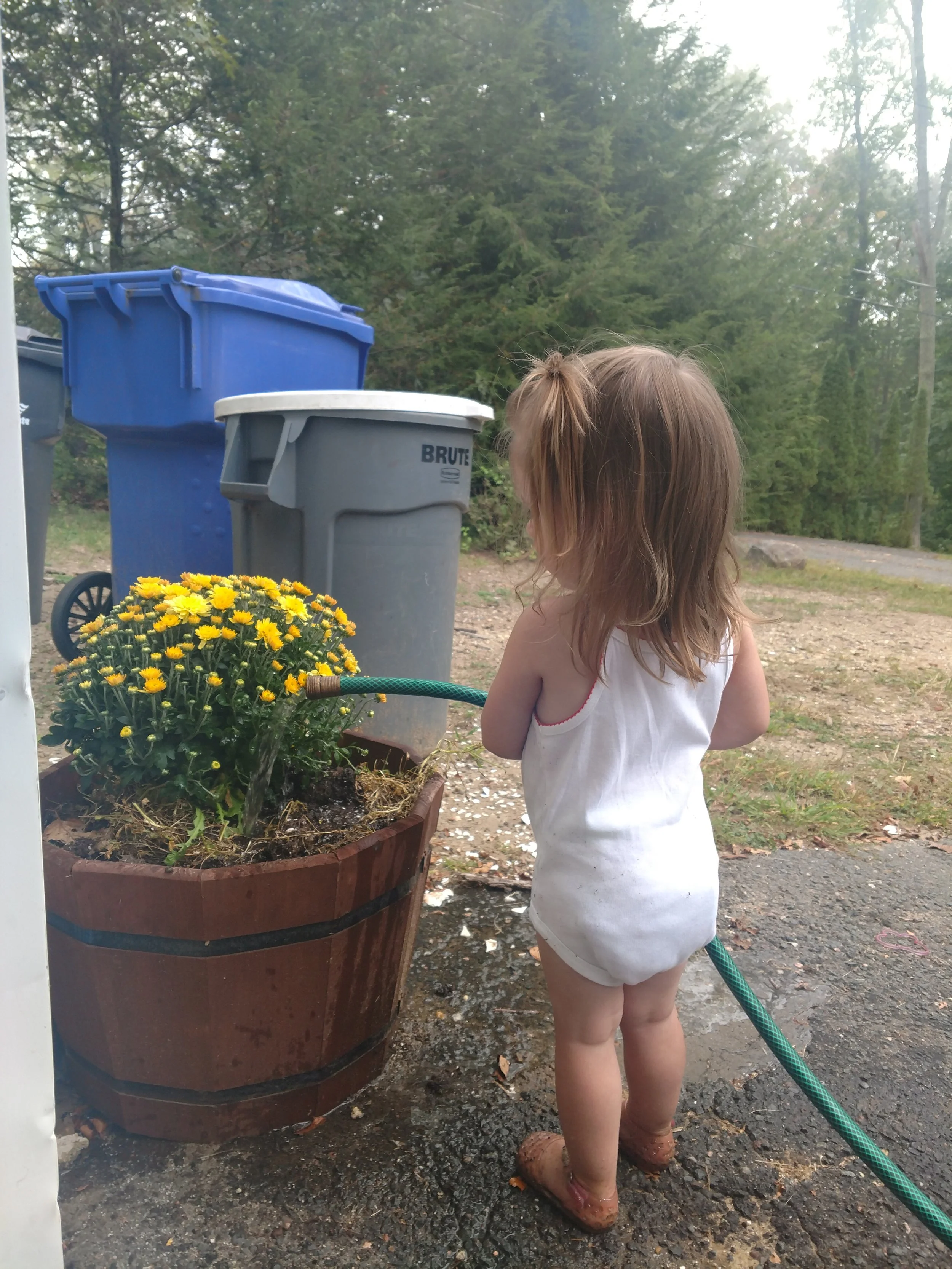 taking-care-of-plants.jpg