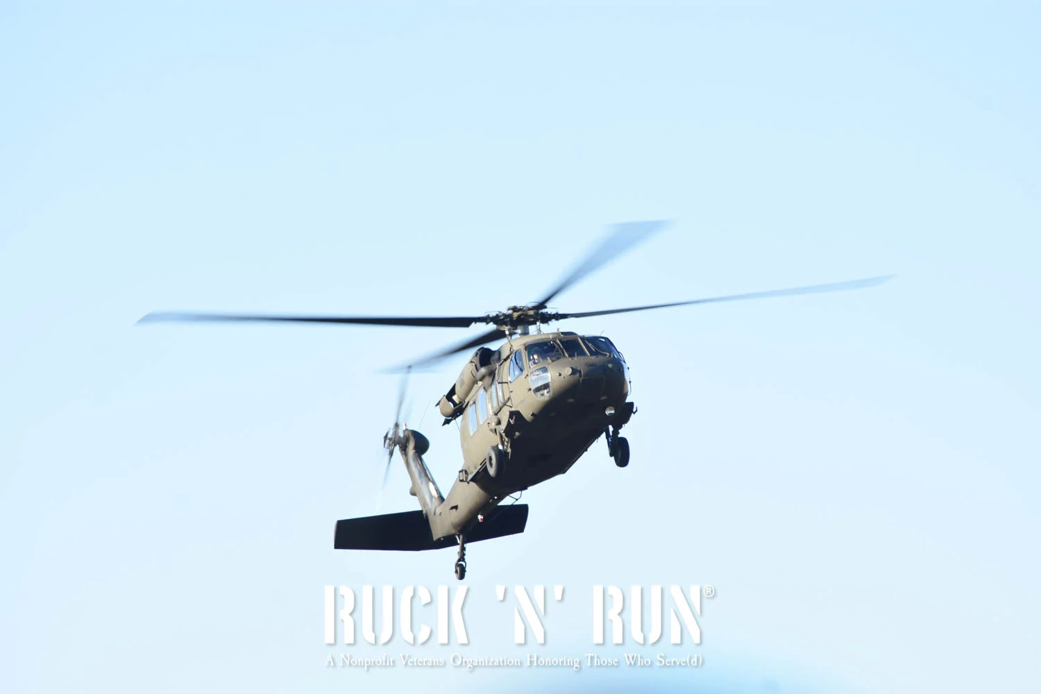 DSC_8338.jpg