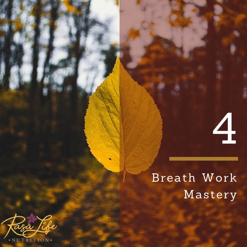  The 4th card  shows you the way . The great masters tell us there are three steps to self-mastery. 1.Breathwork 2.Mind-control through movement and meditation 3.Silence.  In years past, we've tried meditation, only to realize we need to step back an