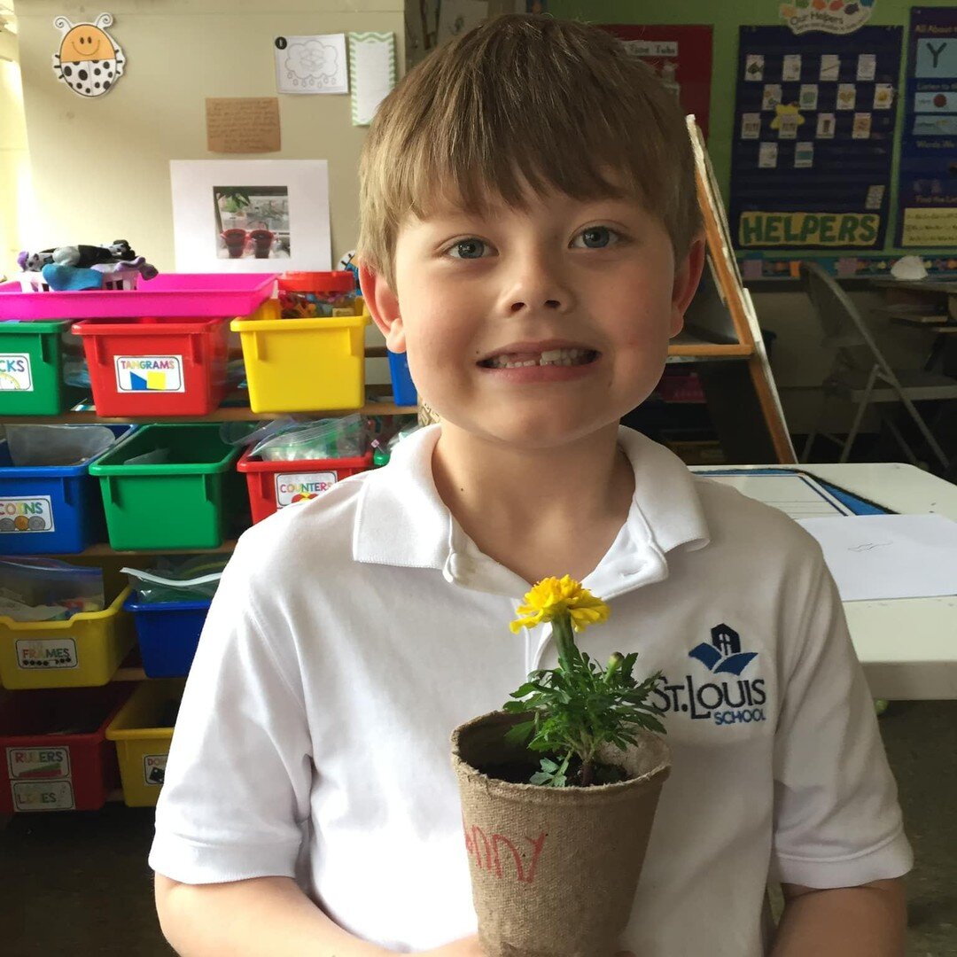 Come grow with the students at St. Louis School - Pittsford. Offering Pre-K through 5th grade classes that are faith-based and academically challenging, check them out at slspittsford.org 
#roccatholicschools