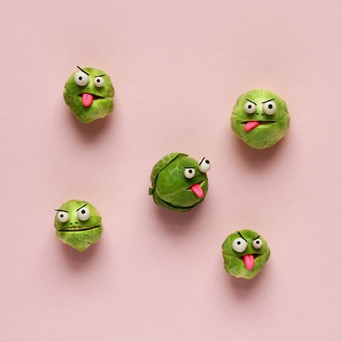 three_fun_instagram_accounts_to_follow_charlotte_lovely_brusselssprouts.jpg