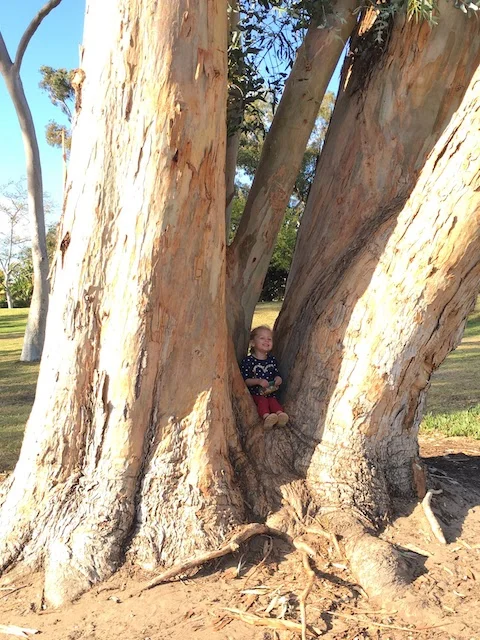 Afternoon adventures.