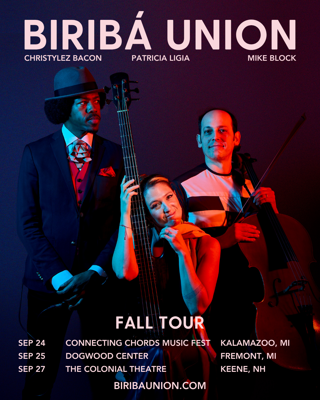 Biriba TOUR graphics (1).png