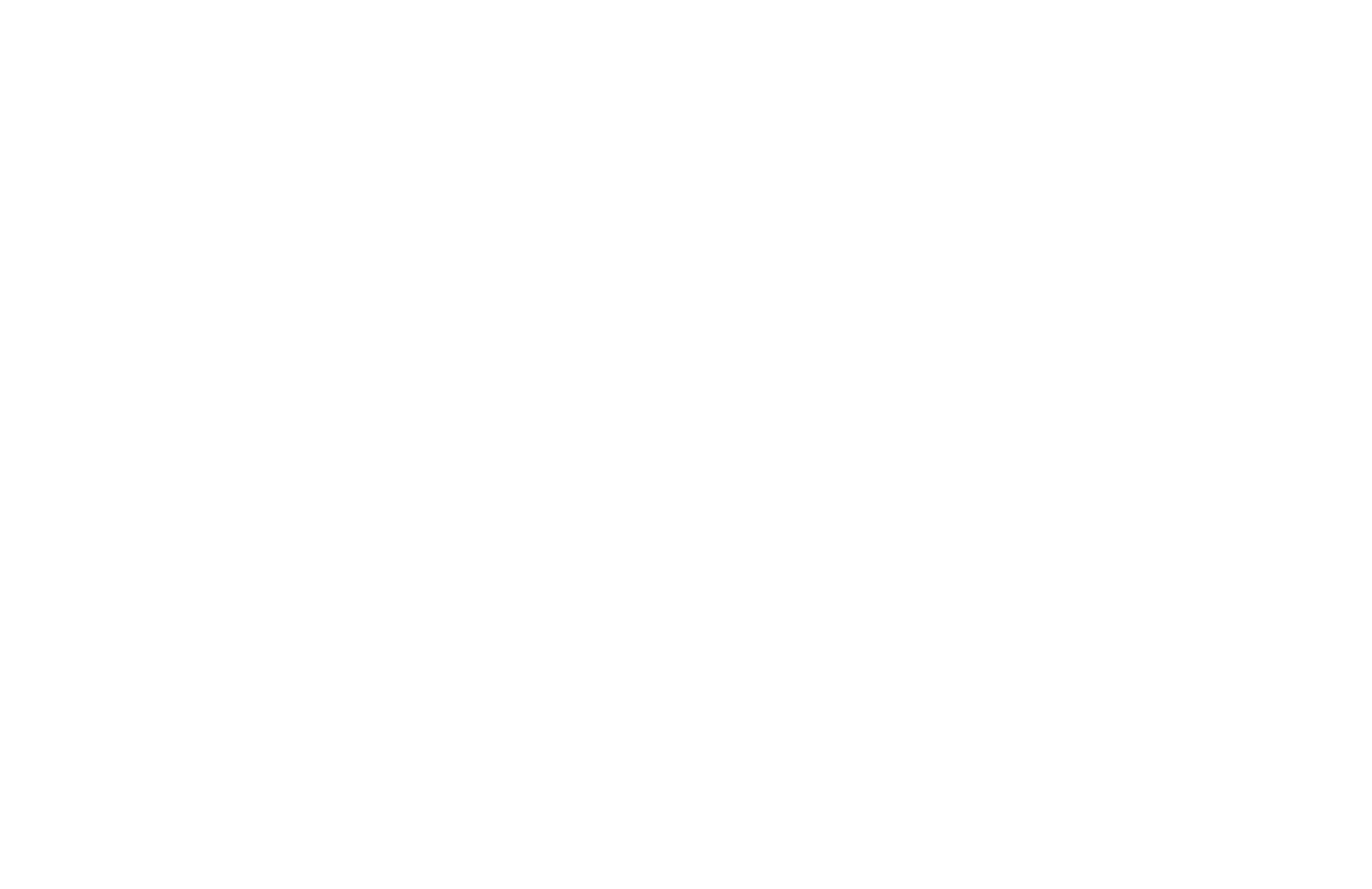 Akira Santa Cruz