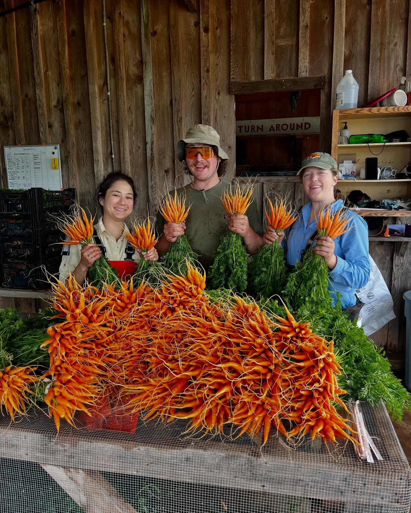 Happy Friday y&rsquo;all! 

We got lots of good finds coming your way this weekend: beets, bok choy, radishes, turnips, asparagus, mushrooms, arugula, pea shoots, butter lettuces, green garlic, and tons of baby carrots
 🥕❗️🥕

We&rsquo;ll also have 