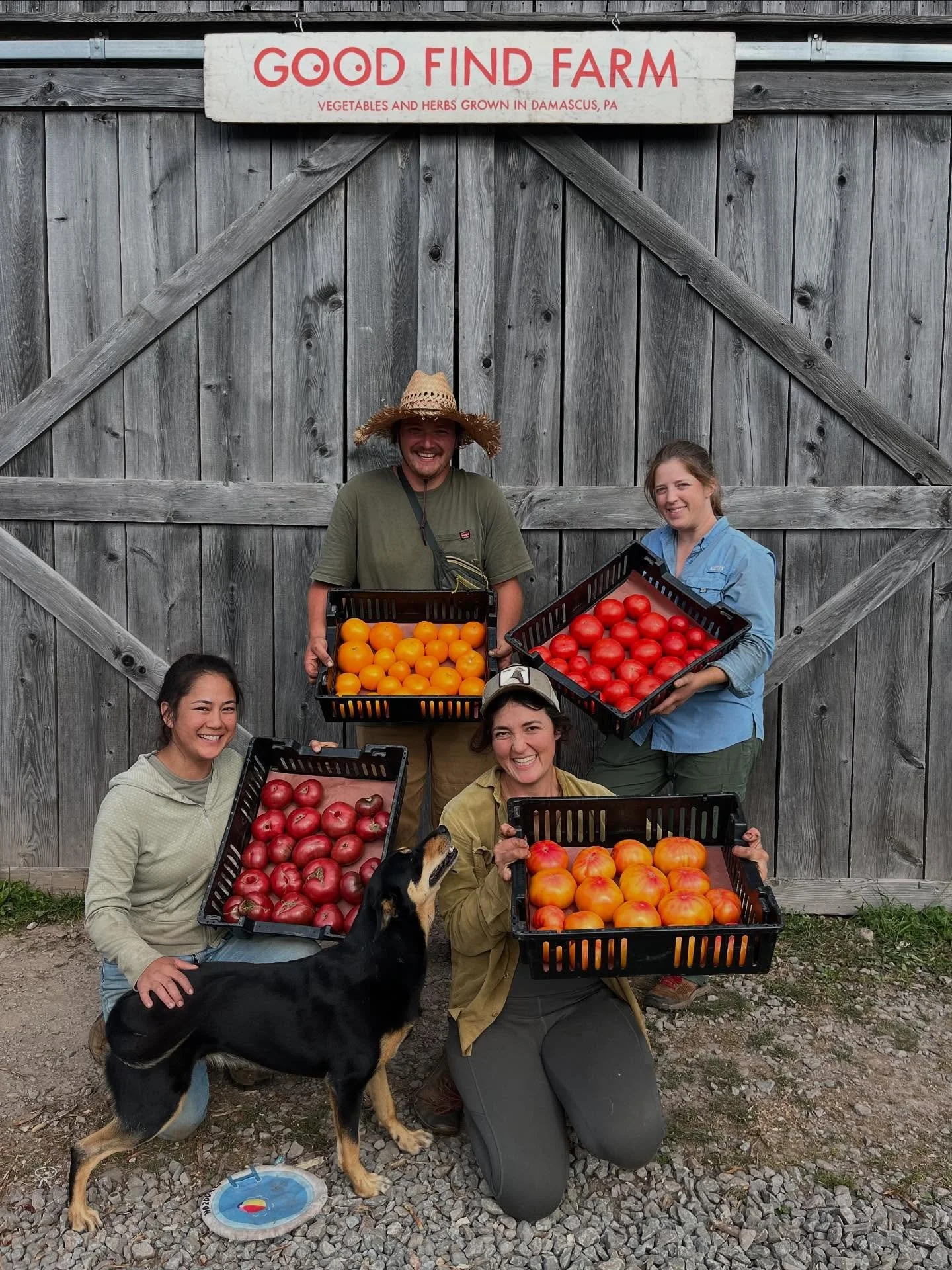 Y&rsquo;all ready for a beautiful weekend filled with friends, family, and good food!?

This week we pulled in an epic harvest of all the best summer has to offer: ground cherries, eggplant, zucchini, squash, cucumbers, peppers, scallions, onions, ga