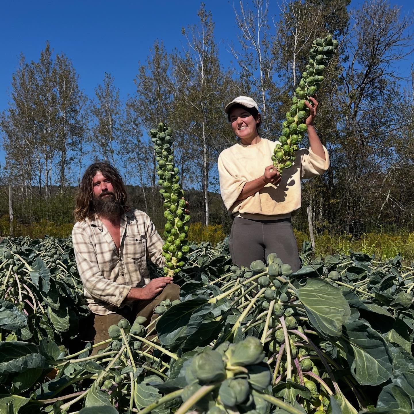 This Week&rsquo;s Good Find: Brussels sprouts!!

Available at all of our markets starting this weekend! 

Happy fall y&rsquo;all 🍂👩&zwj;🌾