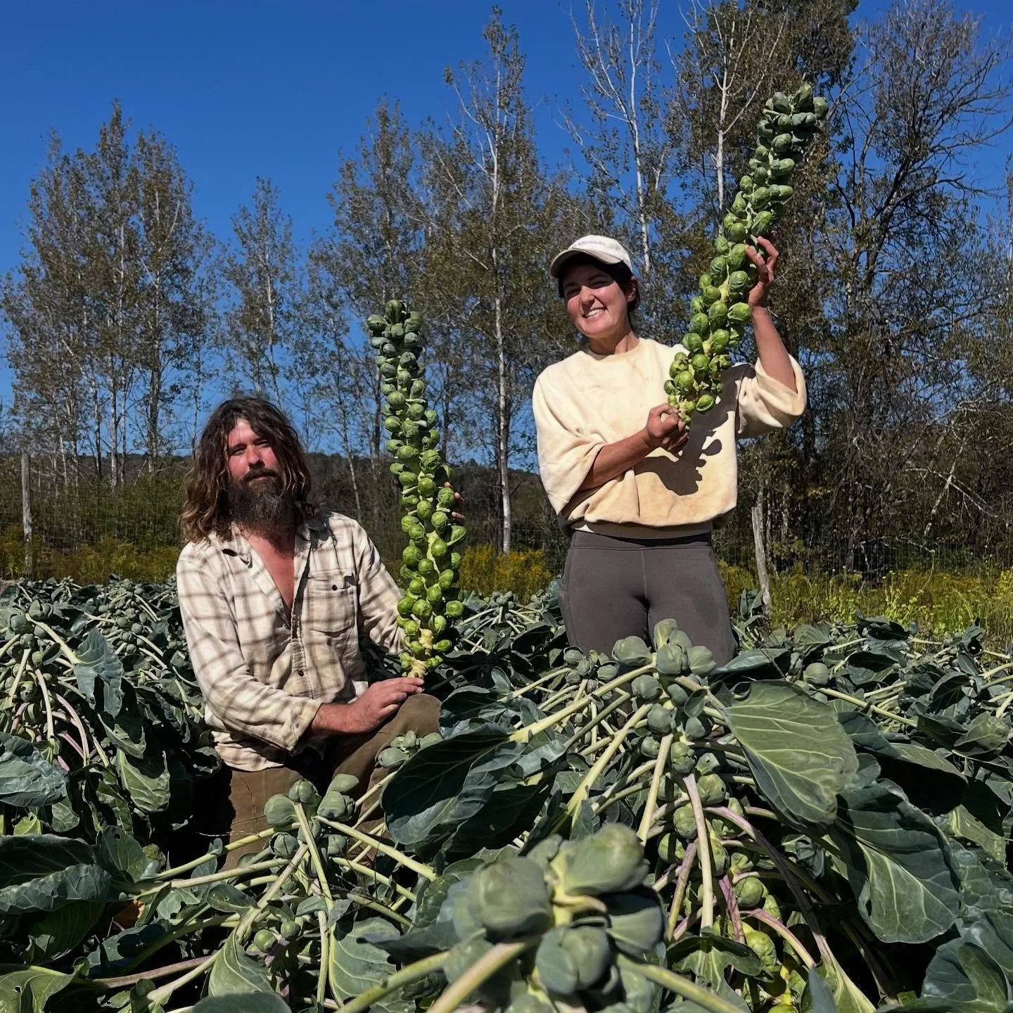 This Week&rsquo;s Good Find: Brussels sprouts!!

Available at all of our markets starting this weekend! 

Happy fall y&rsquo;all 🍂👩&zwj;🌾