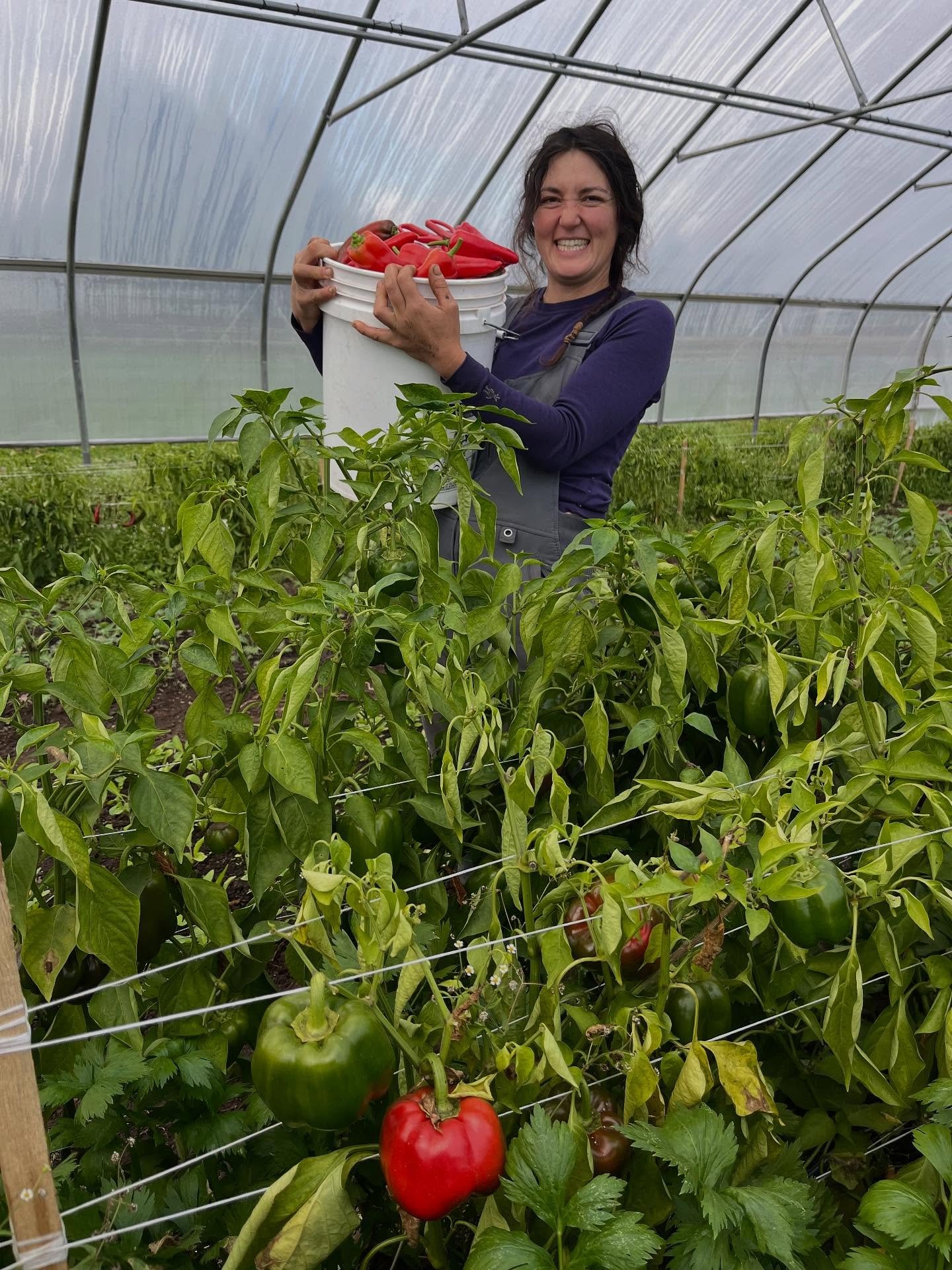 Time for an October photo dump y&rsquo;all!

And here are some highlights from this week&rsquo;s harvest: 

Spinach, Brussels sprouts, blue oyster mushrooms, green beans, rutabagas, pea shoots, cabbages, sweet peppers, little gem lettuces, broccolini