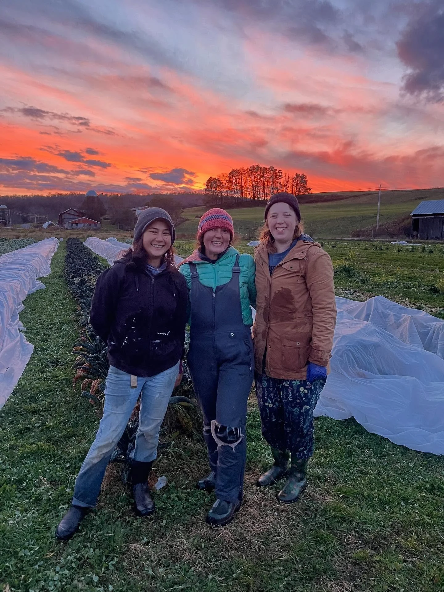 Hey y&rsquo;all! Just a quick reminder that there&rsquo;s only a couple of weeks left in our season! 

Our last market in NYC and our final farm store of the year are both on Saturday, November 22.

We hope to see everyone&rsquo;s beautiful faces bef