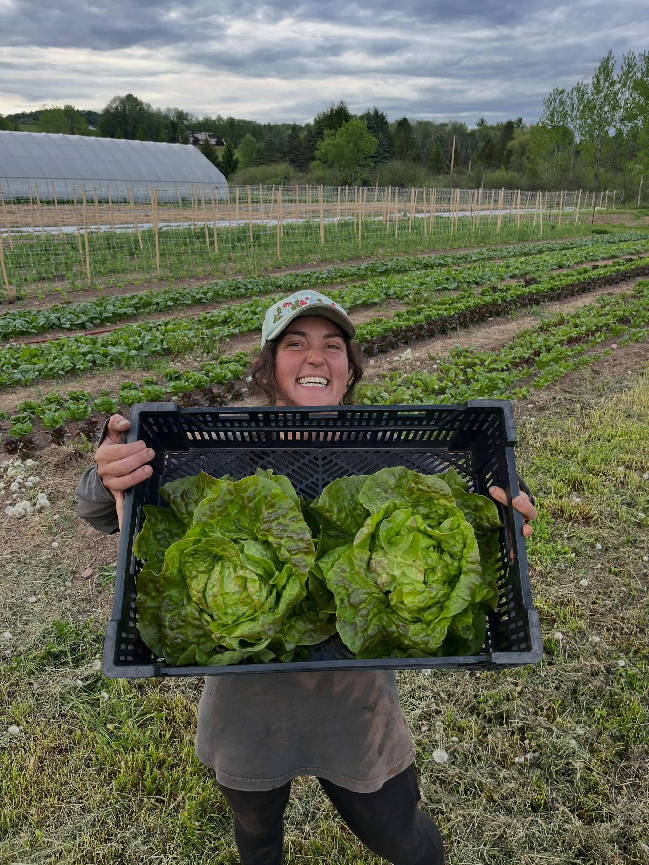 Alright y&rsquo;all, looks like we&rsquo;re in for a very rainy Memorial Day weekend&hellip;

Good news is you can still find us at all of our markets fully stocked up with a super nice selection of veg and blue oysters for all your holiday gathering