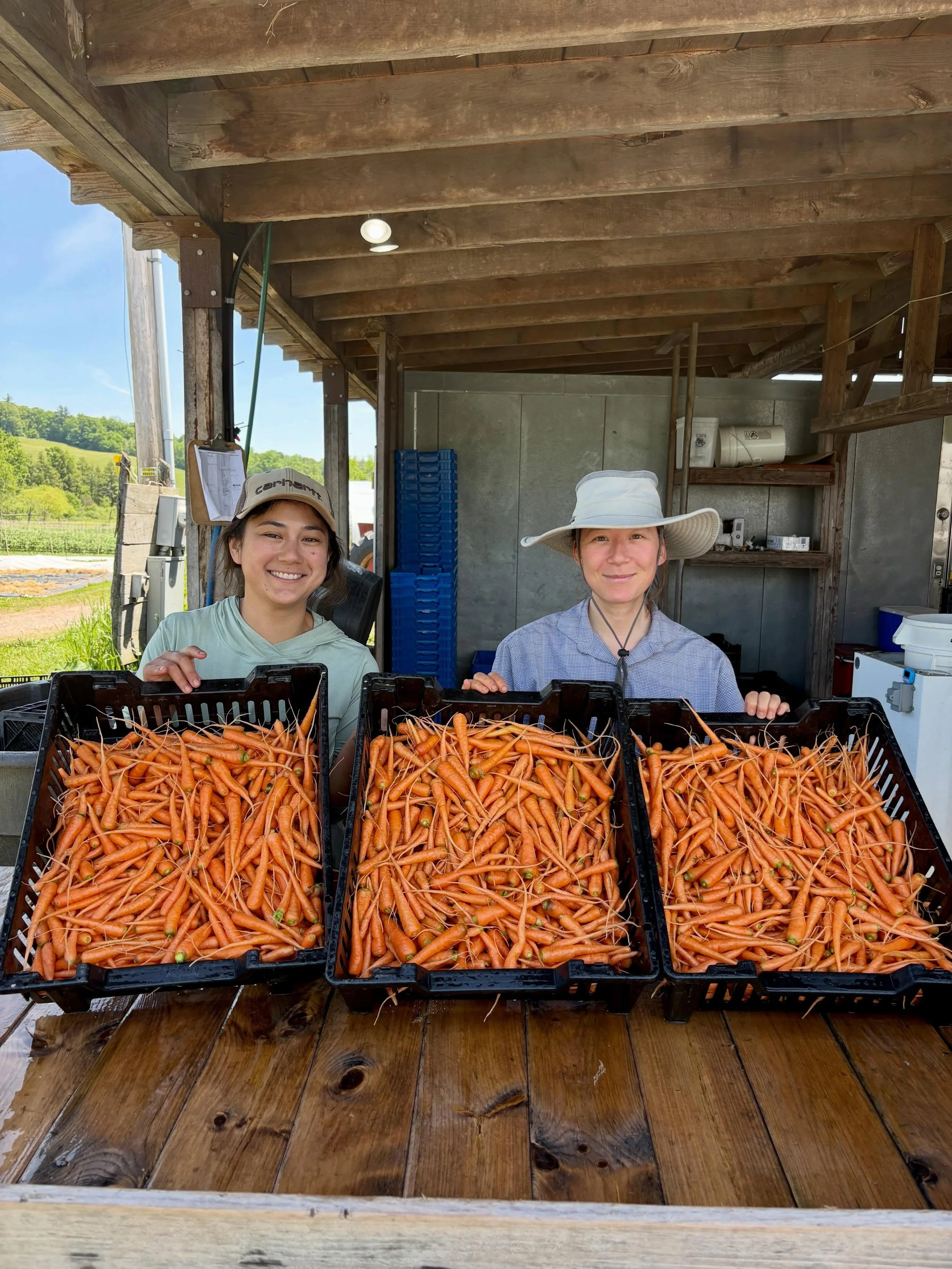 This Week&rsquo;s Good Find: Baby Carrots 🥕🥕🥕

At our markets this weekend you&rsquo;ll also find asparagus, spring onions, green garlic, broccoli raab, sprouting broccoli, beets, radishes, turnips, spinach, little gem lettuce, butter lettuces, ba