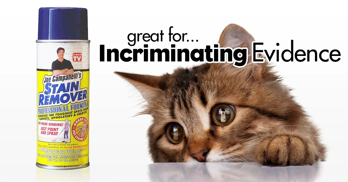 StainCampaign-15oz-Cat.jpg
