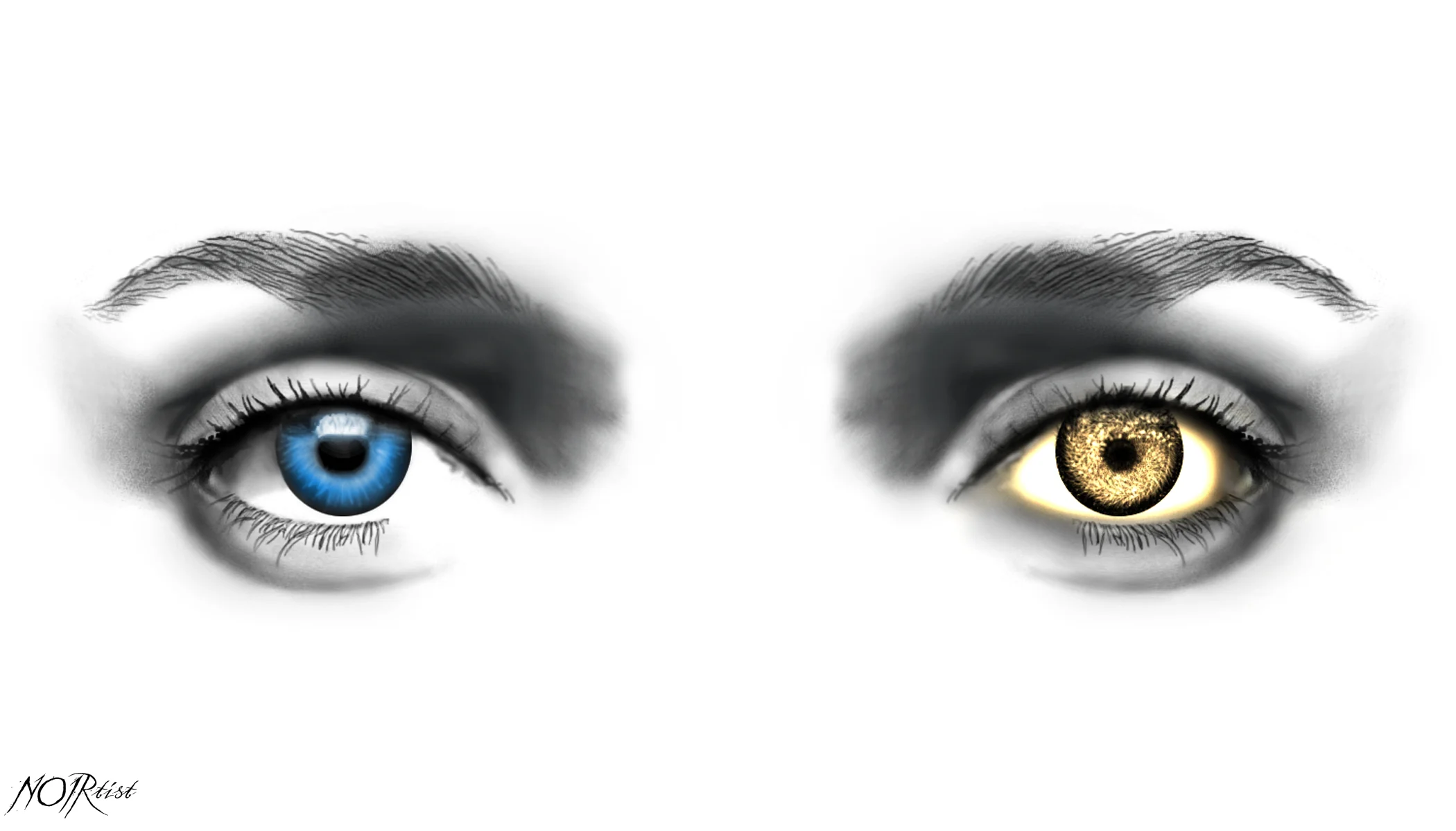 eyeSOLATED.jpg