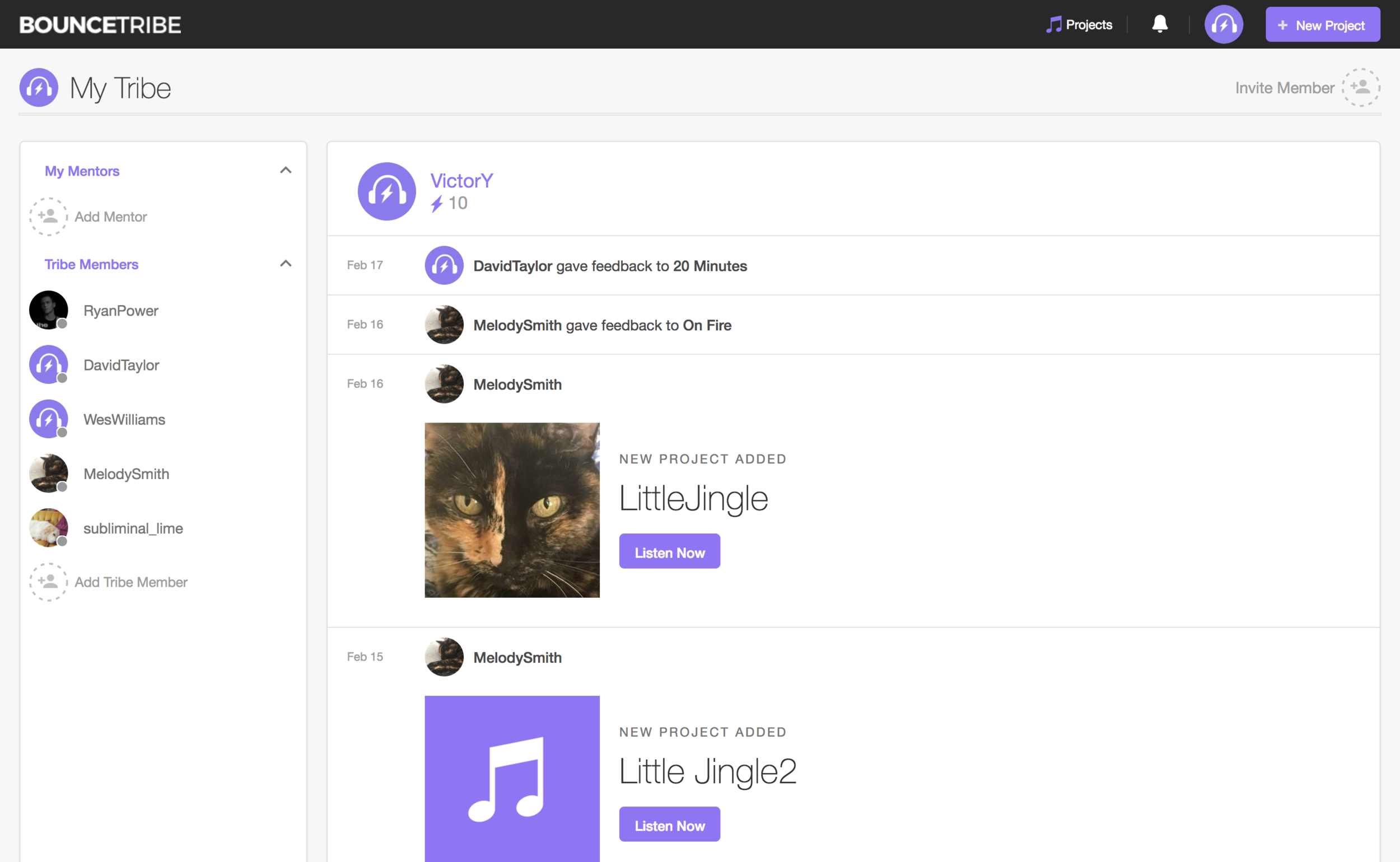 View of BouceTribe's Dashboard upon login.