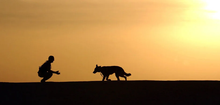 man-dog-silhouette.jpg