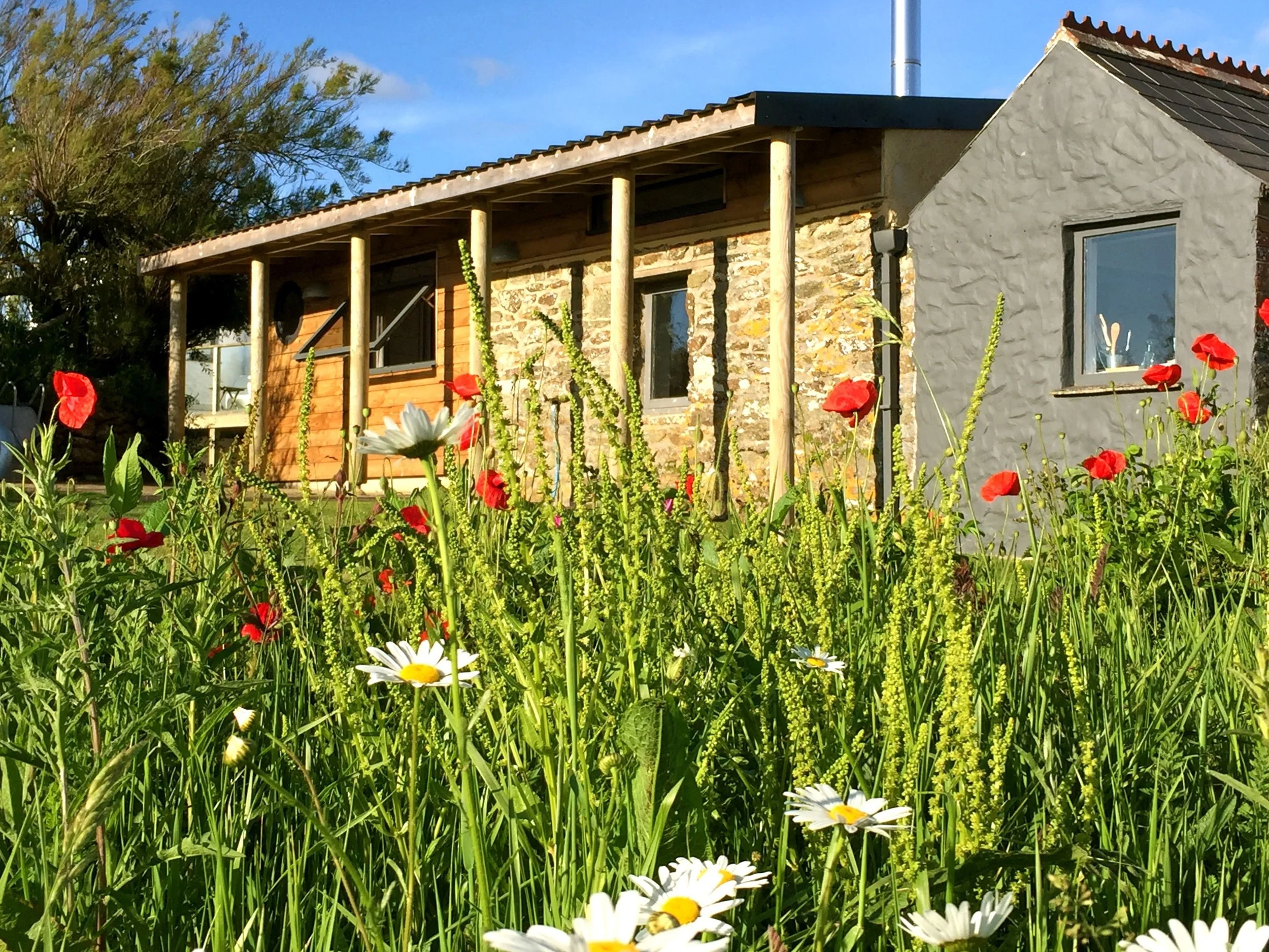 OBS FLOWERS FOREGROUND.jpg