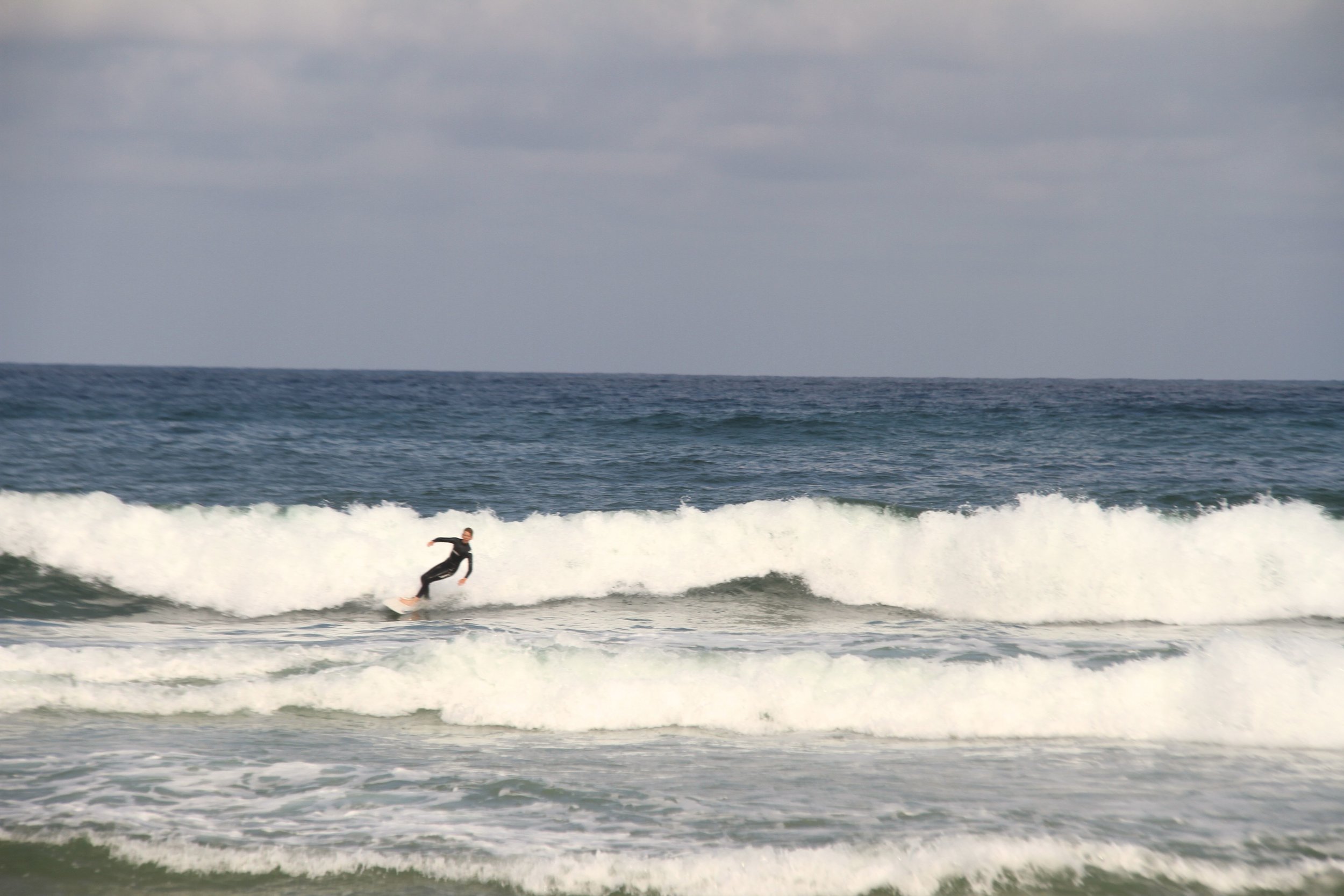 freddie surf IMG_9691.jpg