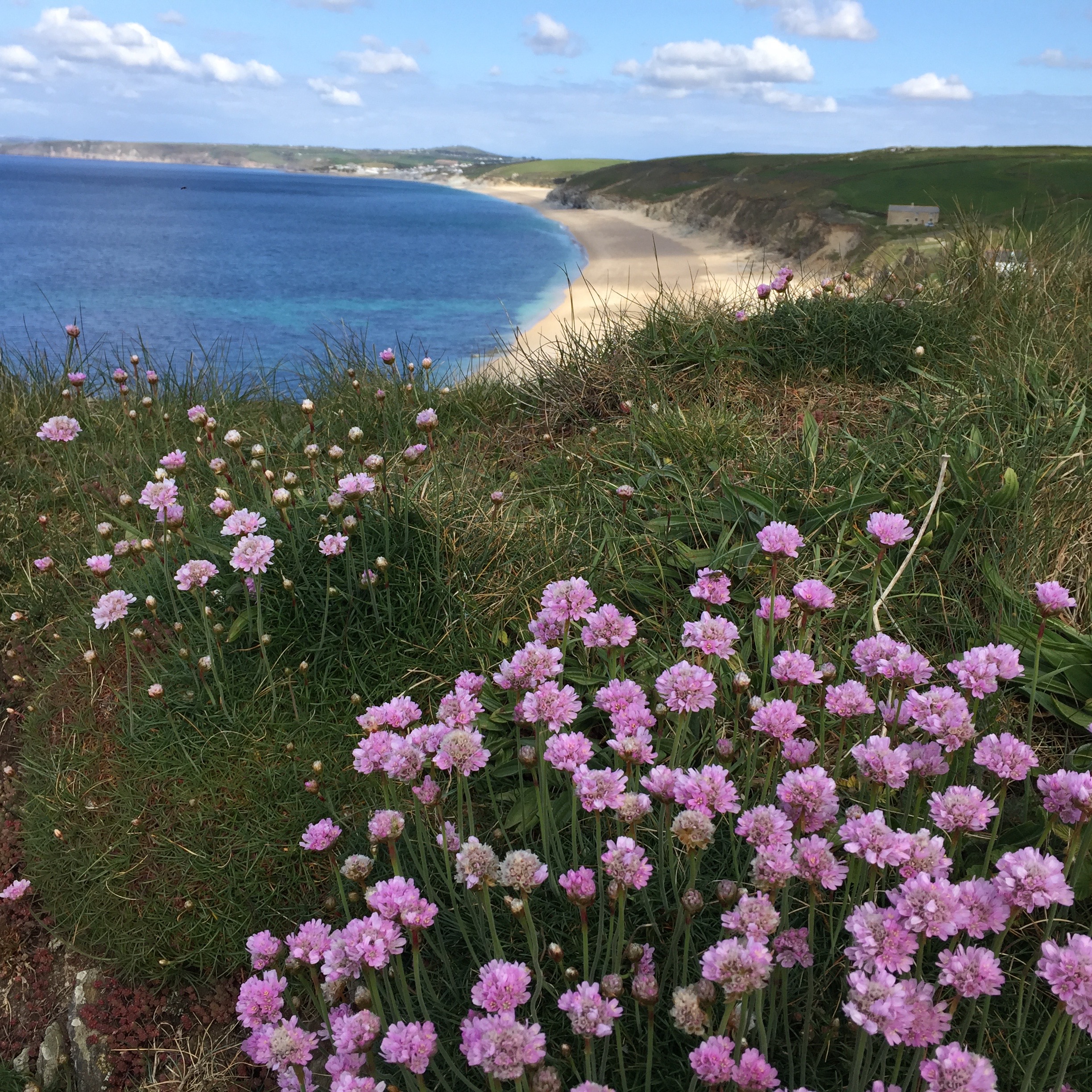 FishingCove5-minute walk away.jpg