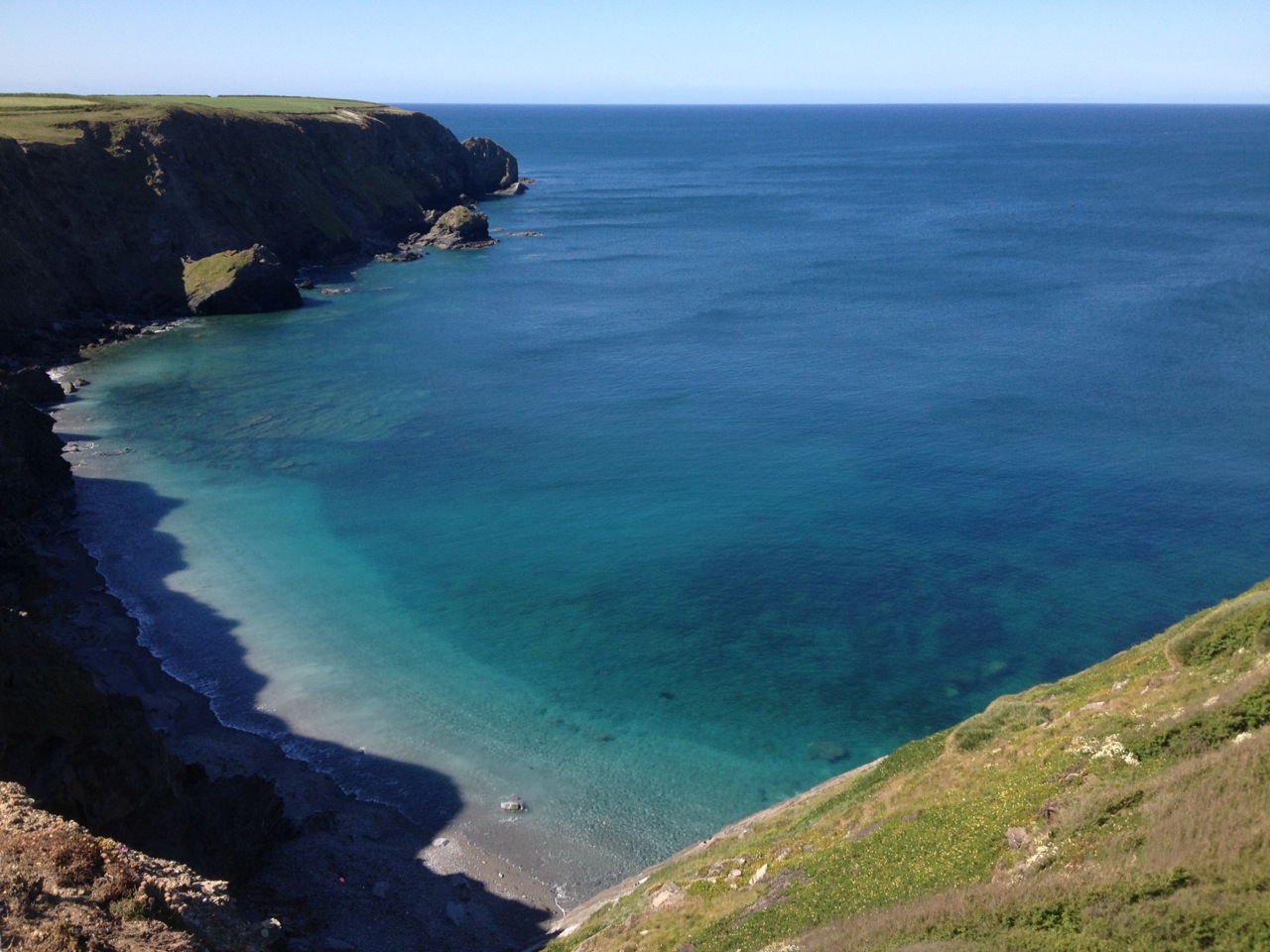 HALZEPHRON COVE IMG_3444.jpg
