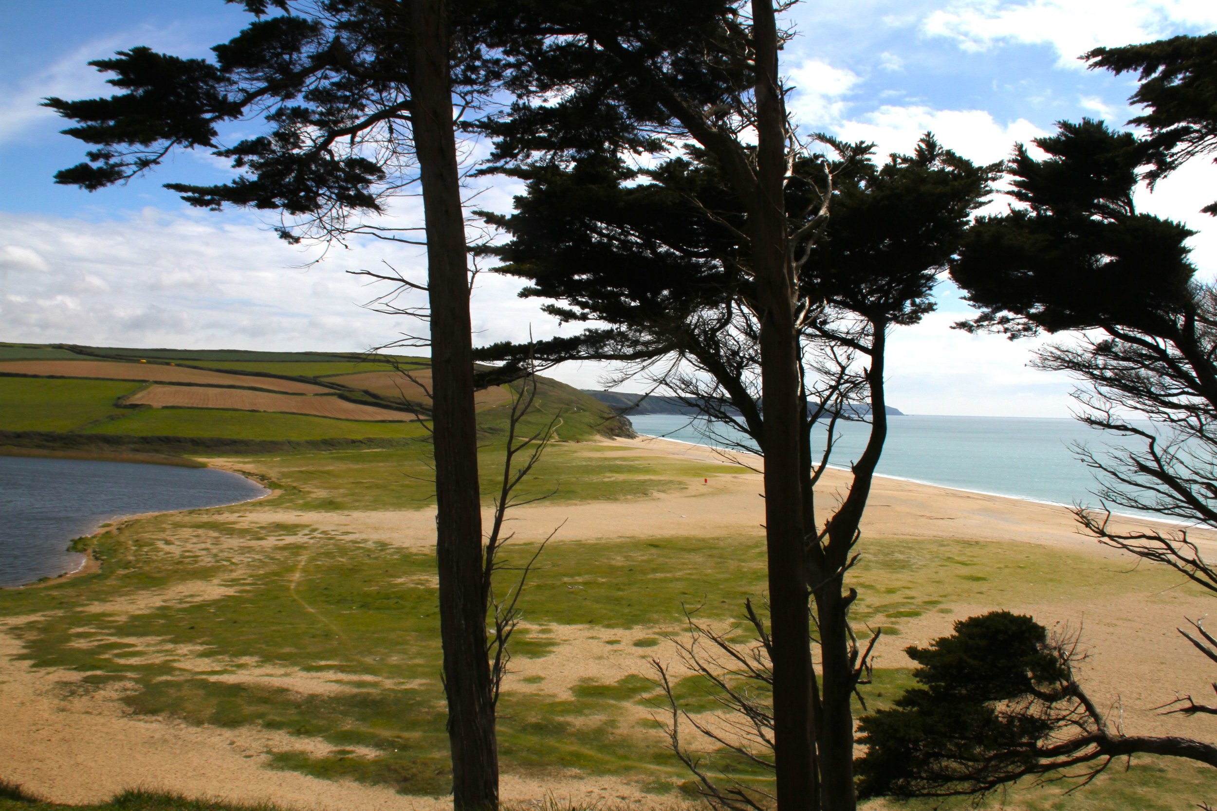 loe bar trees IMG_3134.jpg