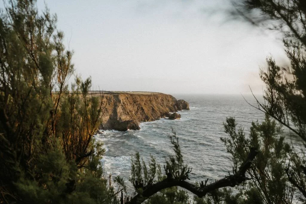 cliffs-and-sea_1024_wide.jpg