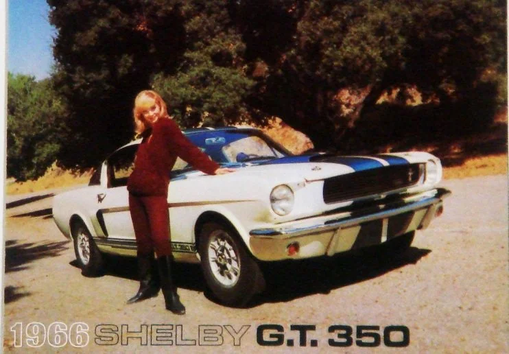 Shelby 1966 Brochure.jpg