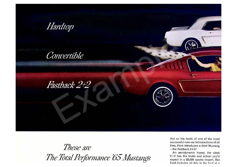 1698659120861-4fef54d3-778d-497b-a848-6b4fca551f61_2.jpg