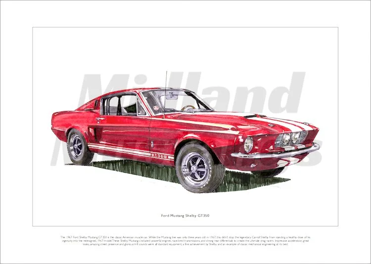 gt350 shelby .jpg
