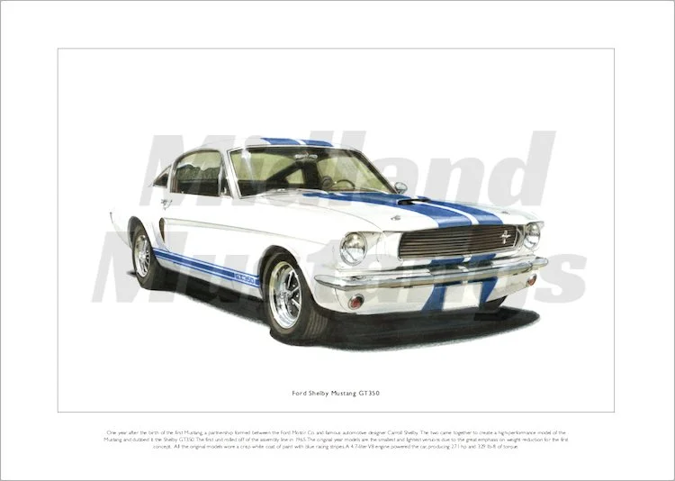 shelby gt350 white_blue.jpg