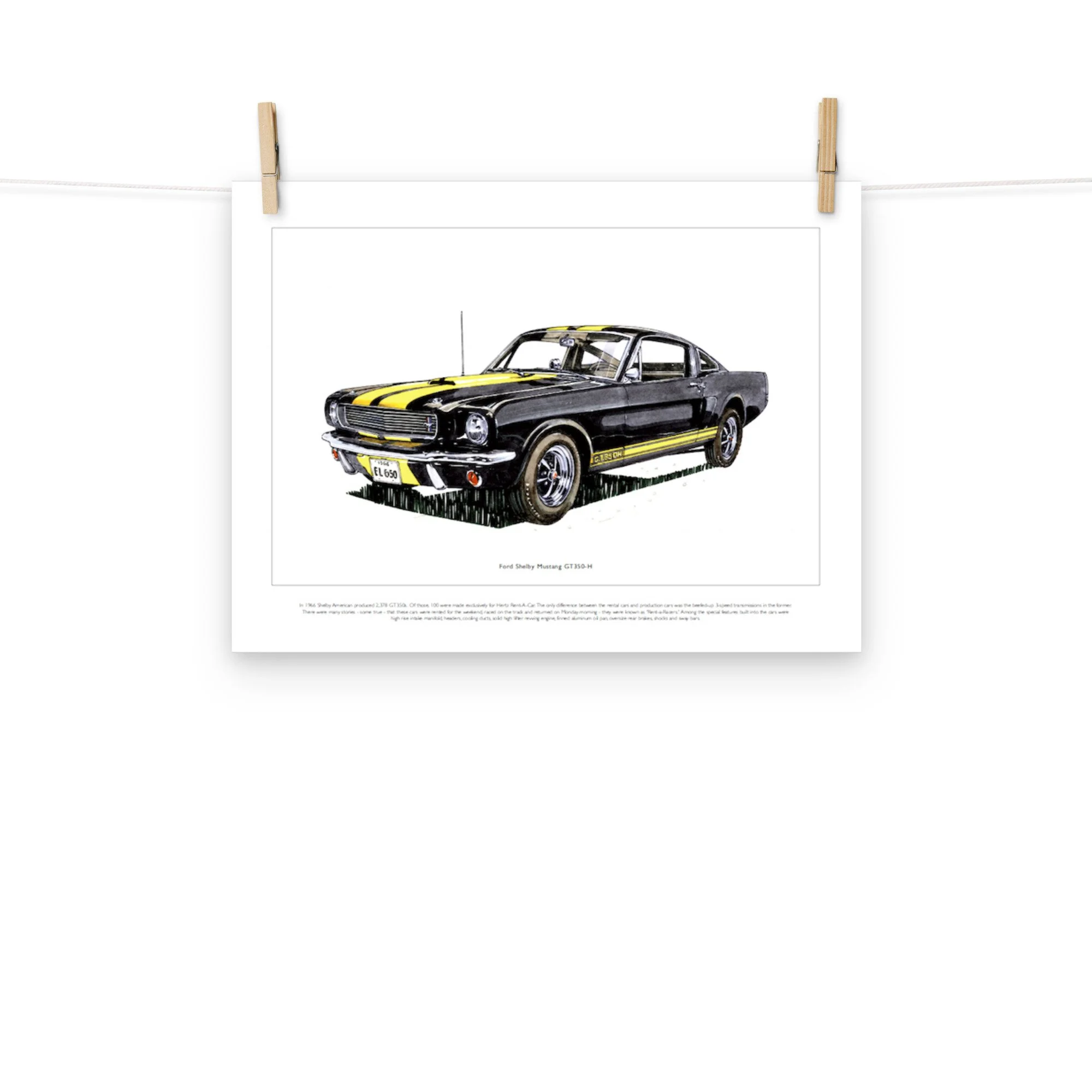 premium-luster-photo-paper-poster-(in)-12x16-front-654d56ed81bea.jpg