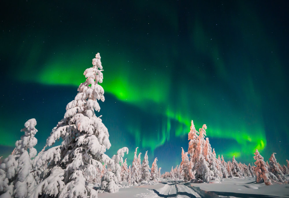 NorthernLights_Lapland_3.jpeg