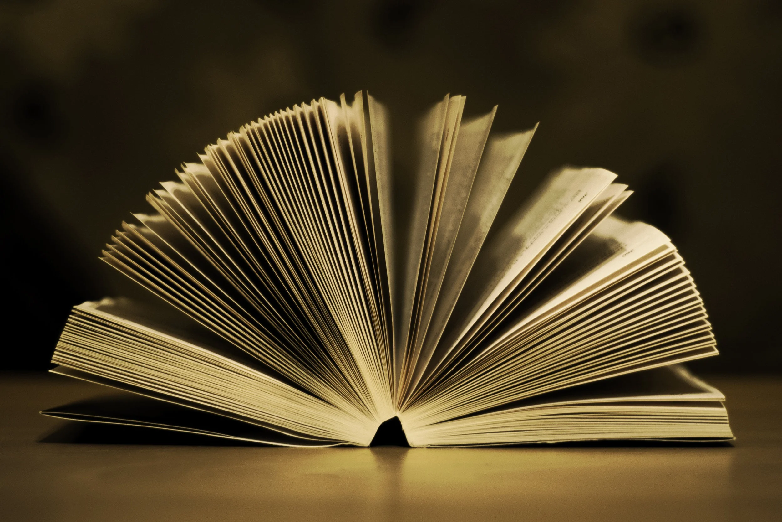 To Brag Book or not Brag Book in the Job Interview?  