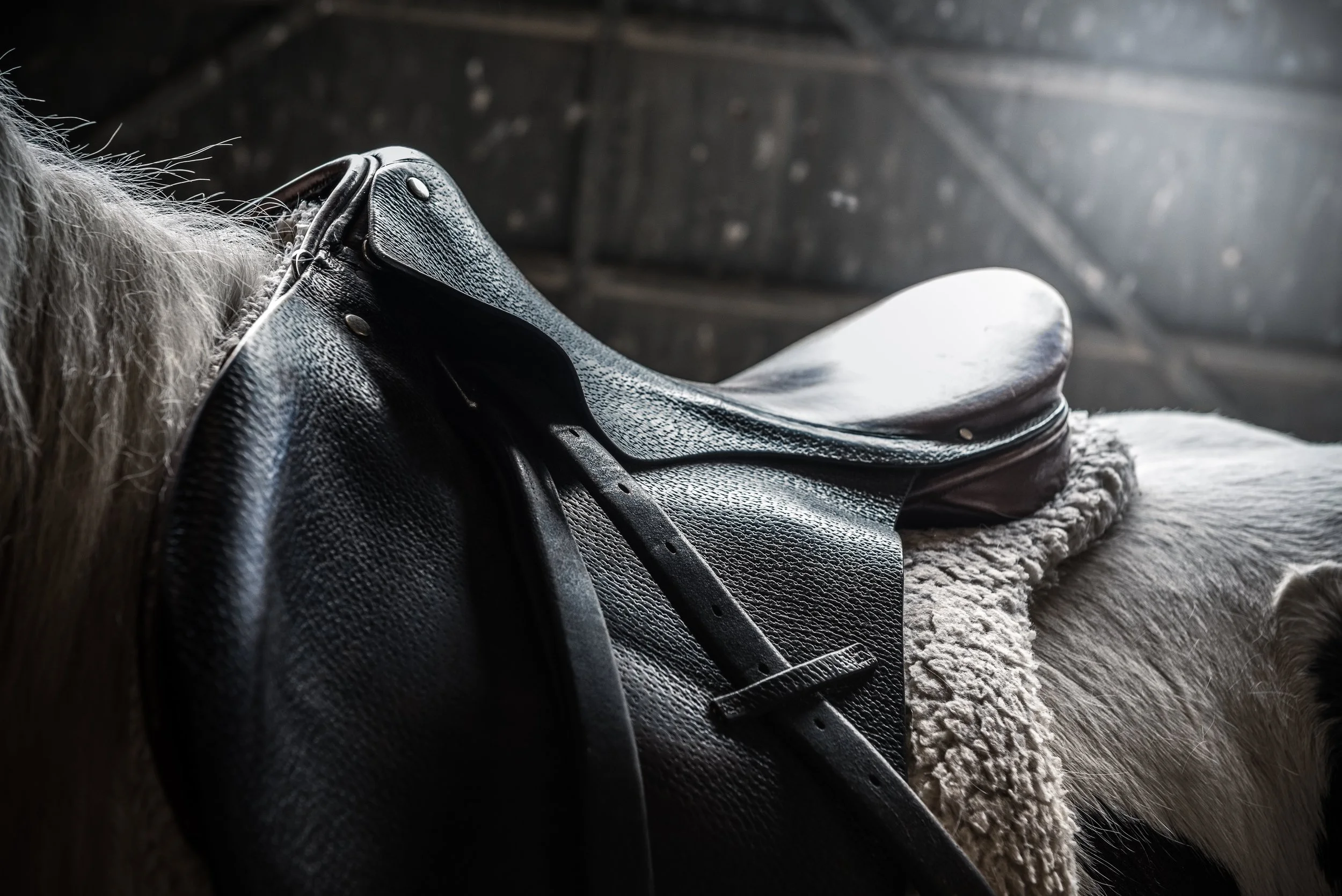 It's a Good Time to Get Back on the Job Interview Horse