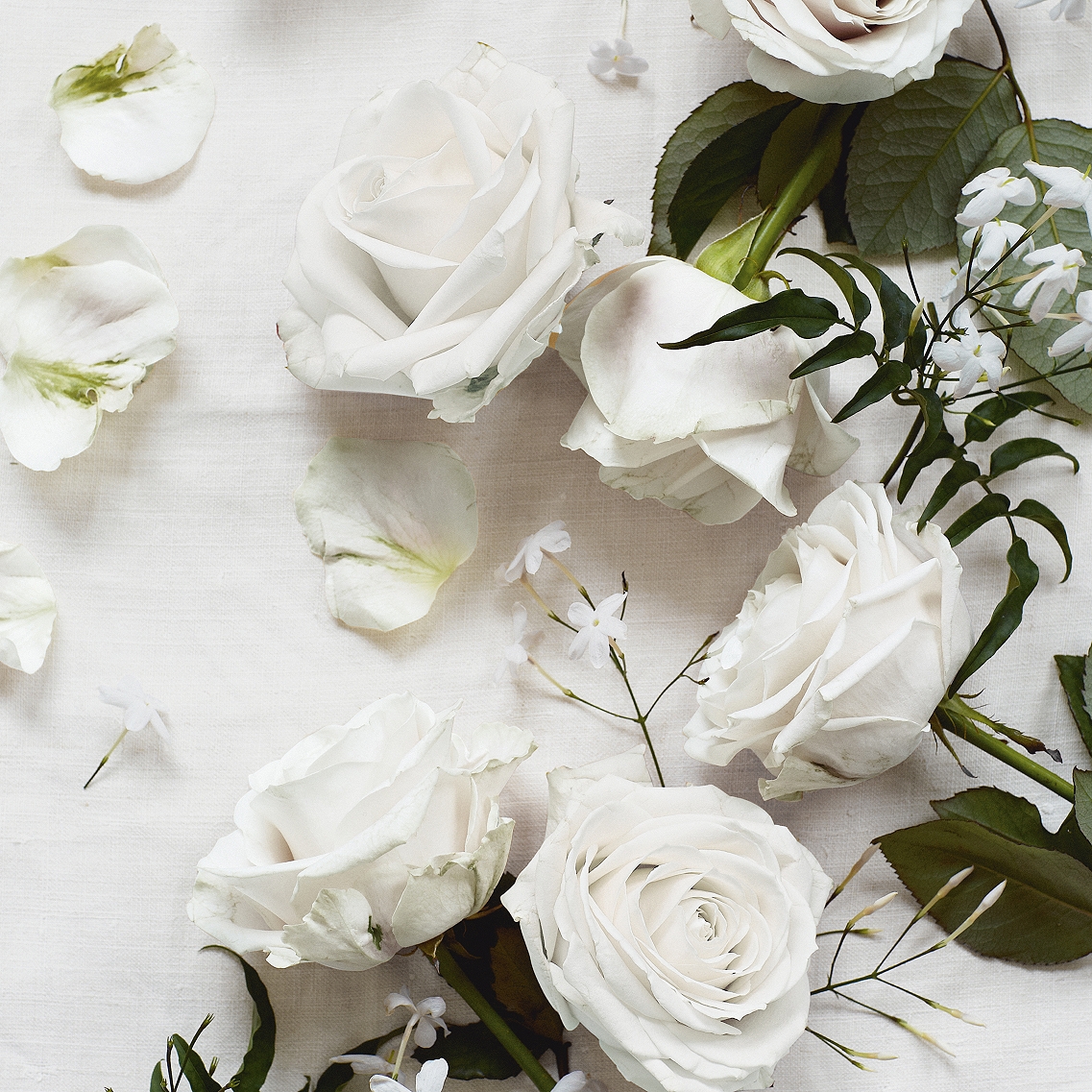FLOWERS_AU17_E.jpeg